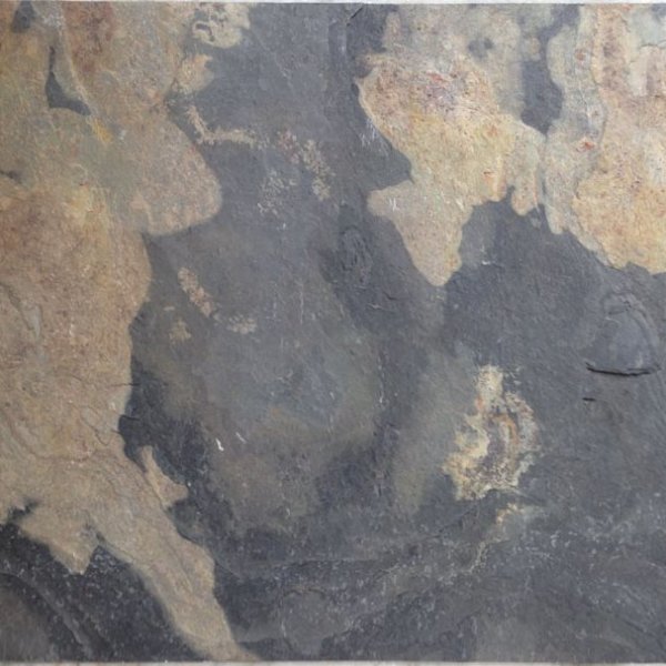 Autumn Rustic Veneer