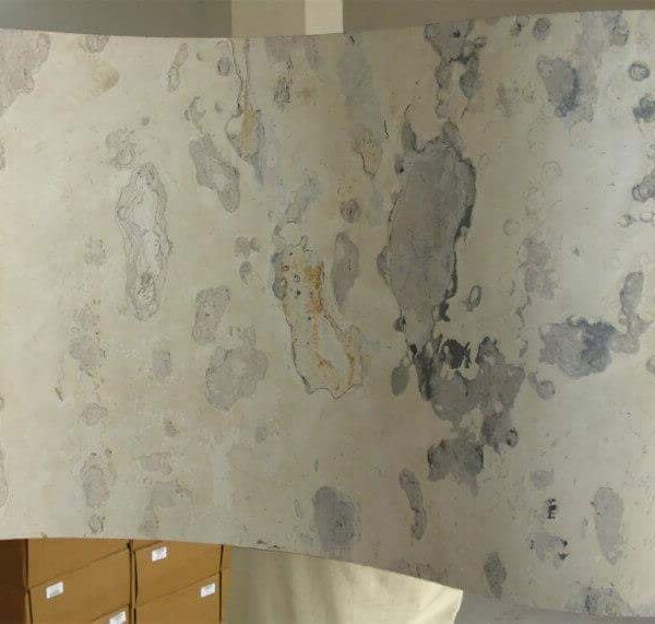 Indian Autumn Slate Veneer