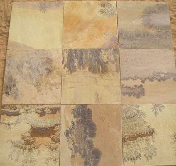 fossil mint sandstone